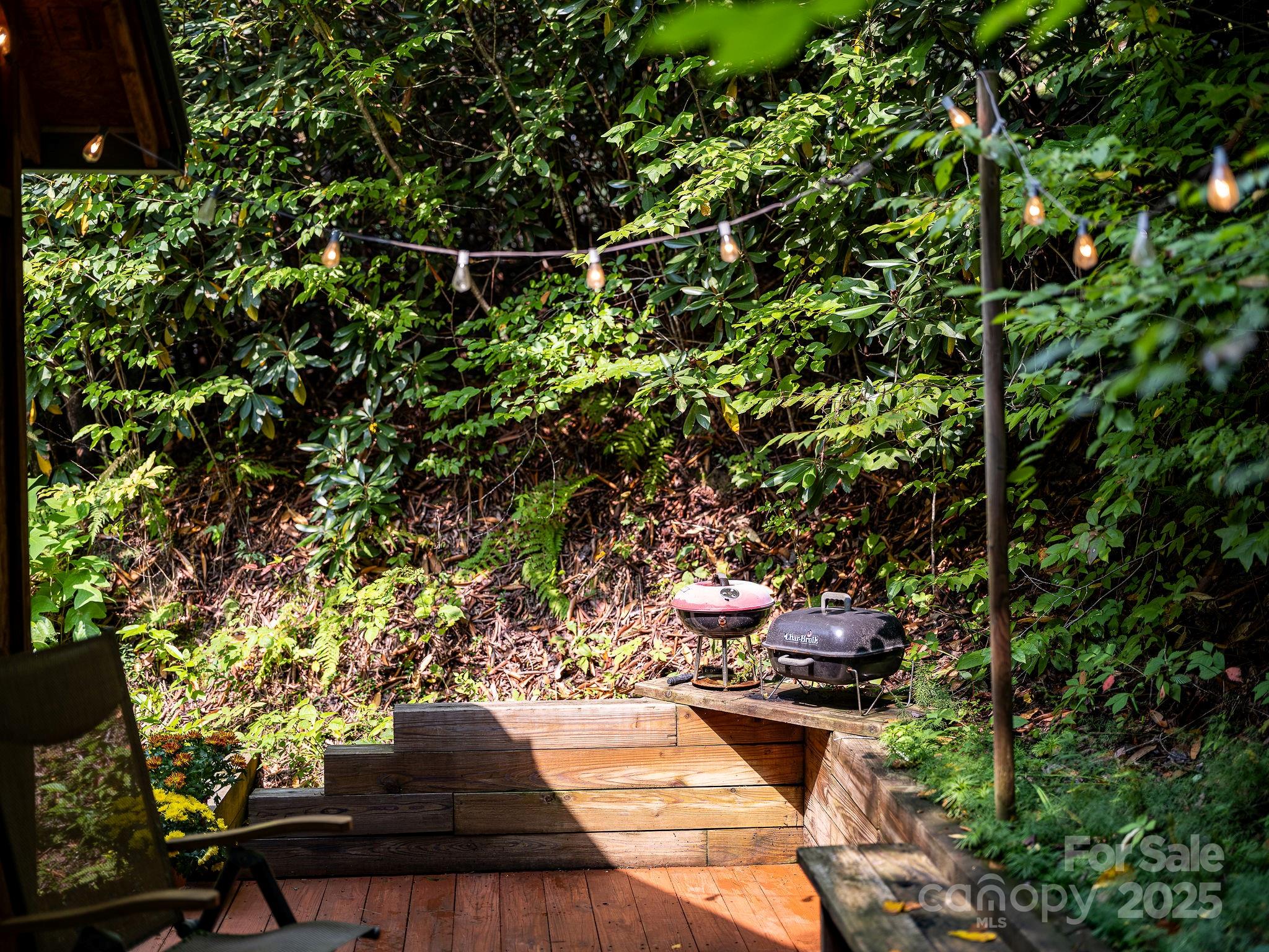 28 Caddis Court Marshall NC 28753