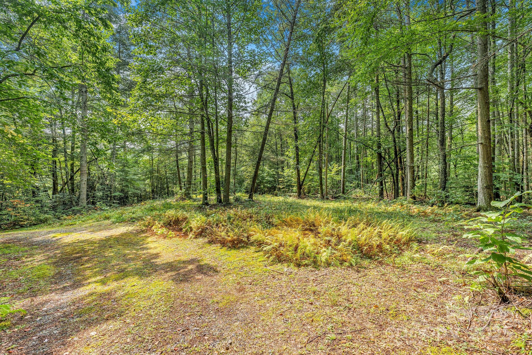 28 Caddis Court Marshall NC 28753