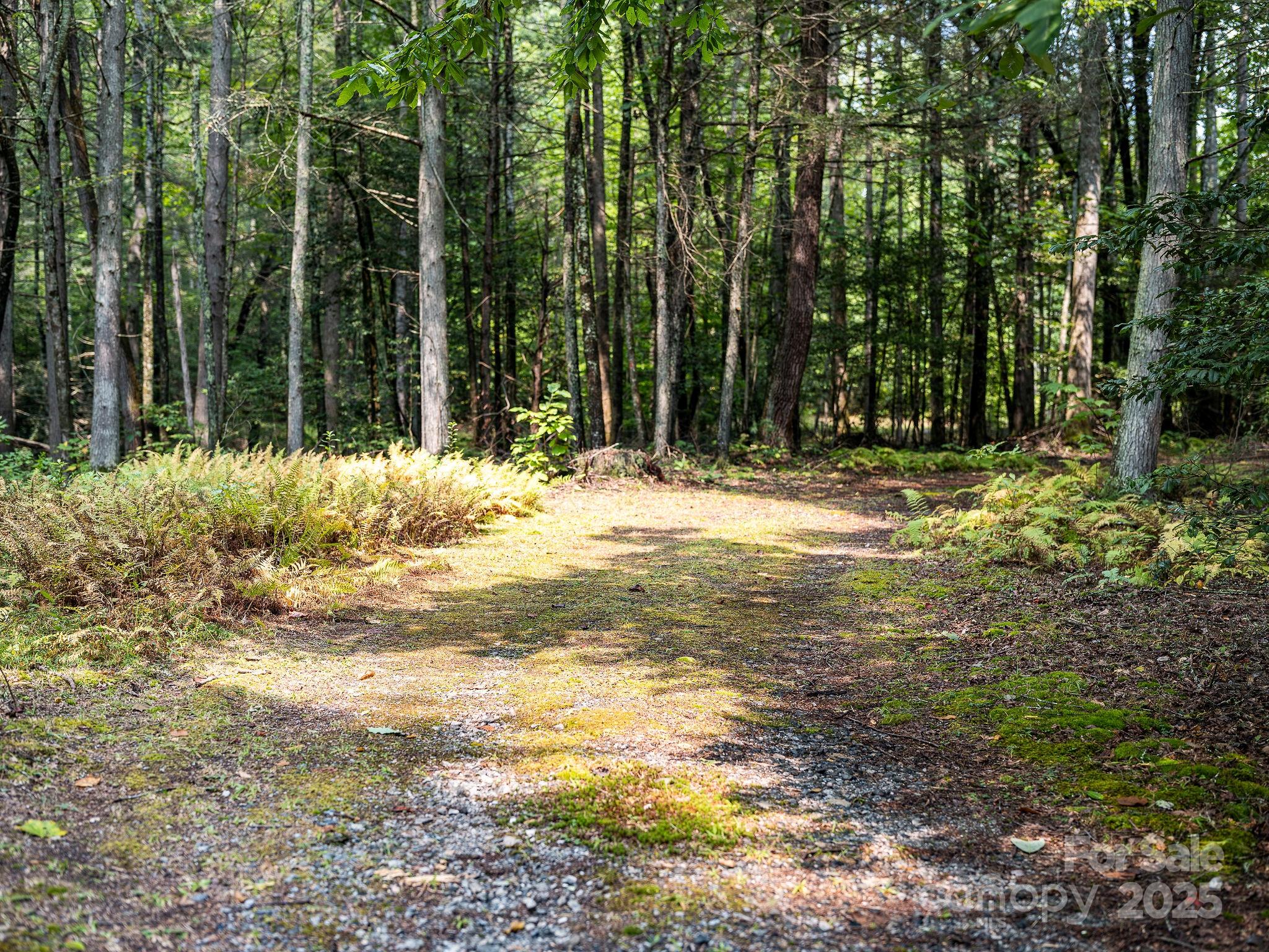 28 Caddis Court Marshall NC 28753