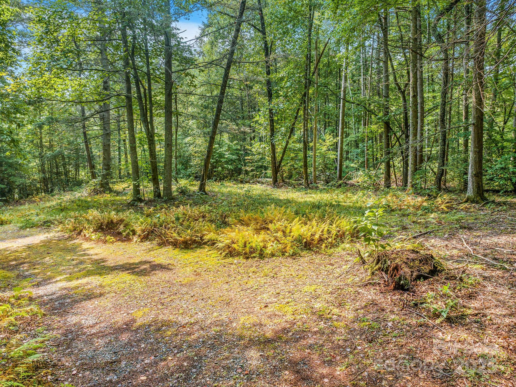 28 Caddis Court Marshall NC 28753