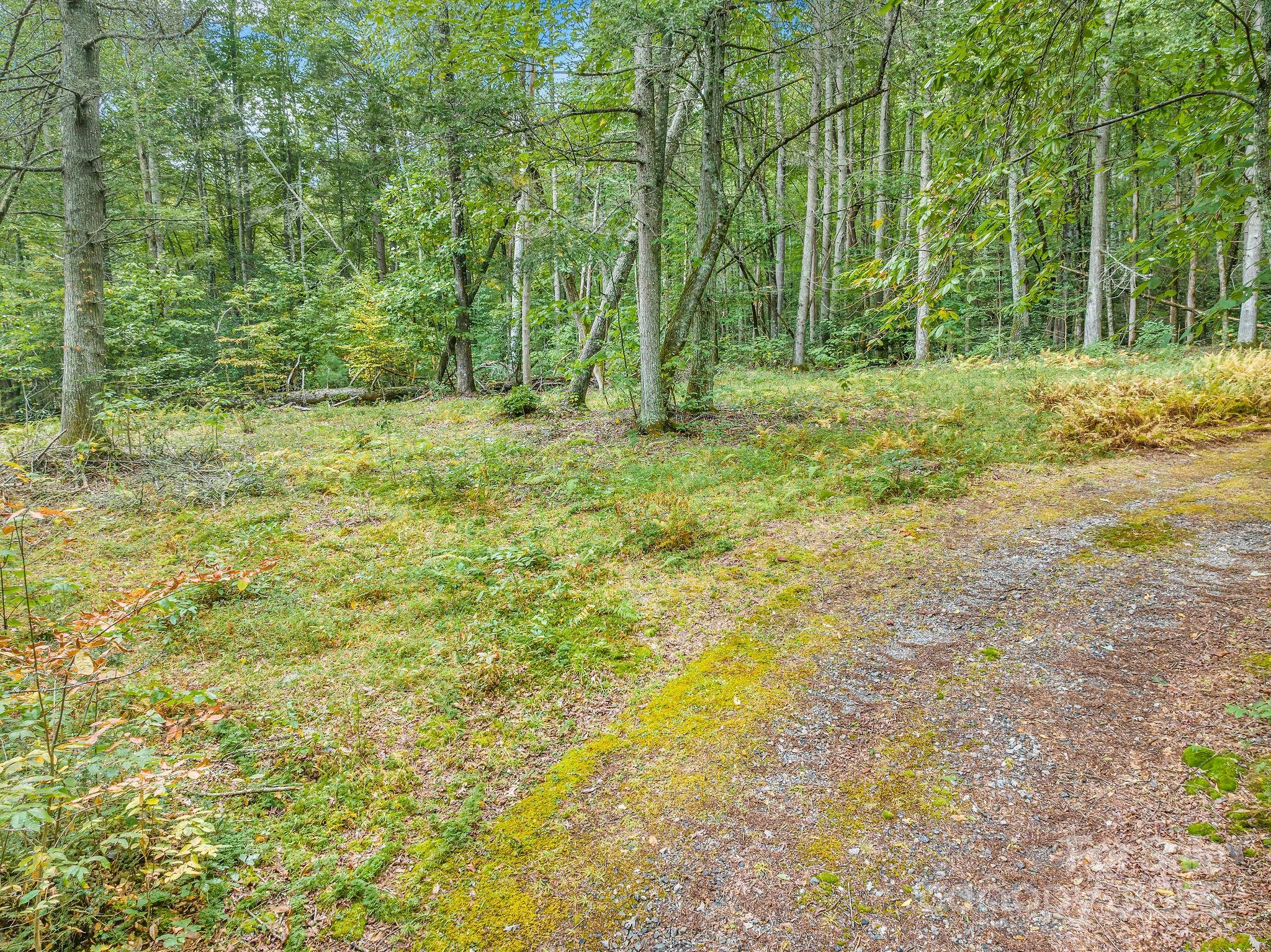 28 Caddis Court Marshall NC 28753