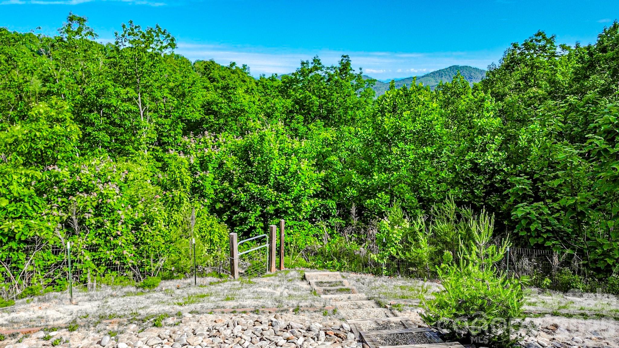 485 Mountain Lookout Drive Bostic NC 28018