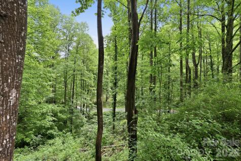 182 Saw Branch Road Candler NC 28715