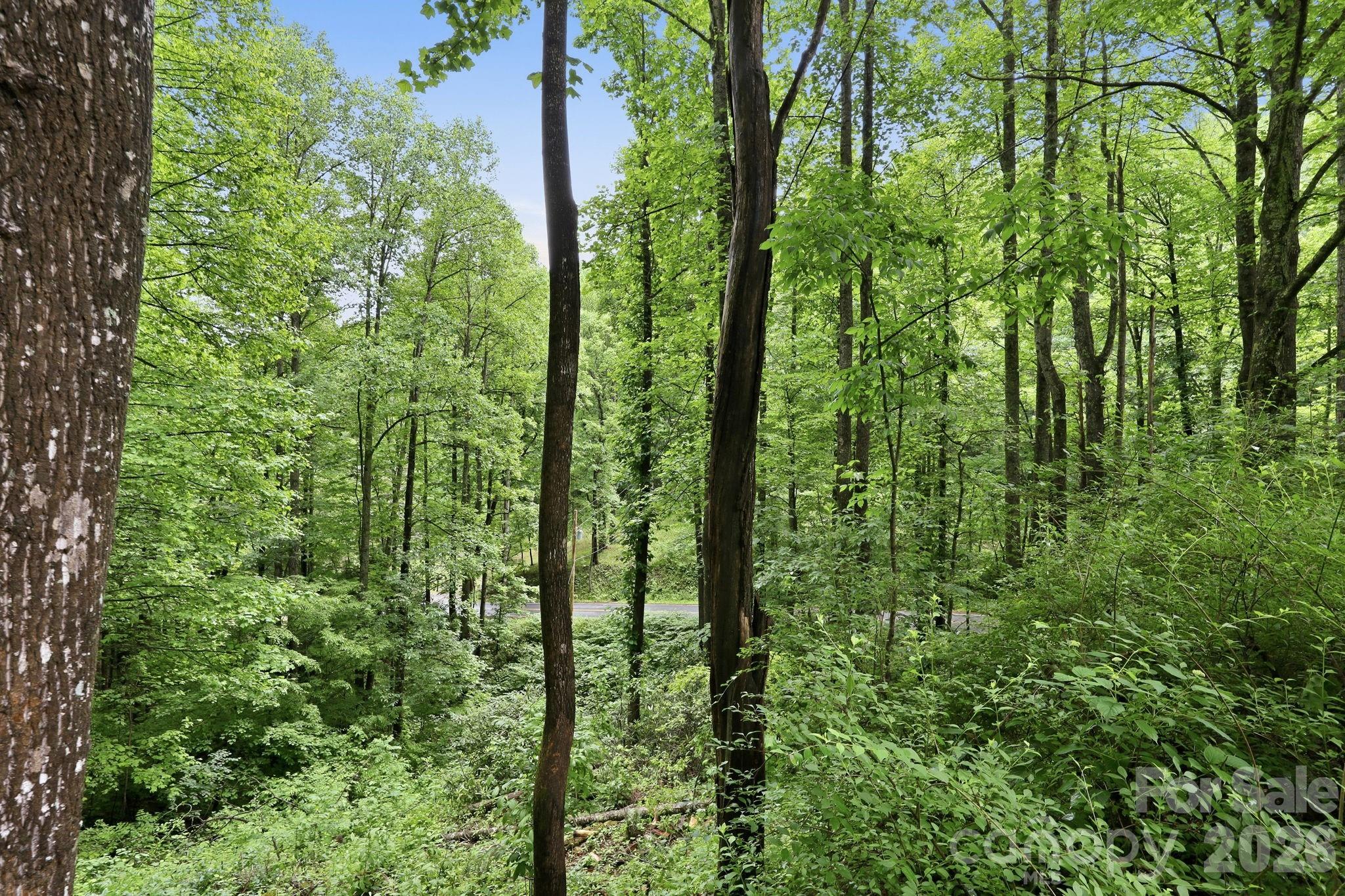 182 Saw Branch Road Candler NC 28715