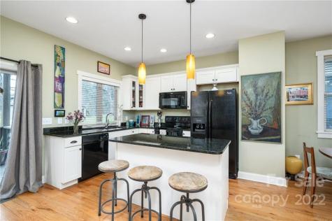 65 Culvern Street Asheville NC 28804