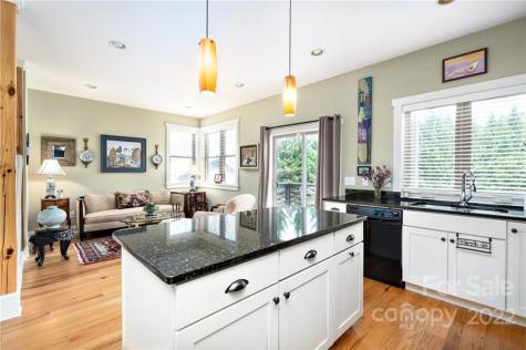 65 Culvern Street Asheville NC 28804