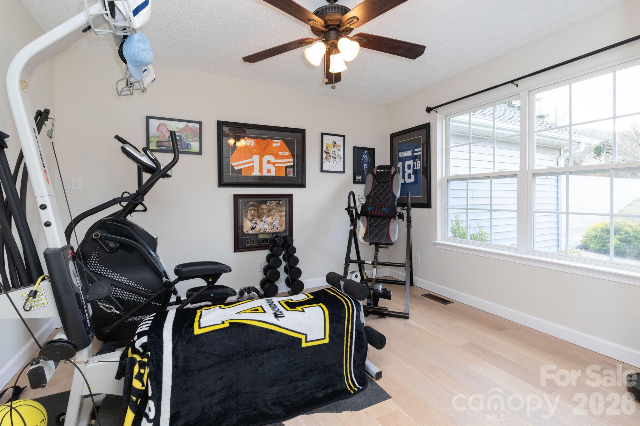 21 S Lindon Cove Road Candler NC 28715