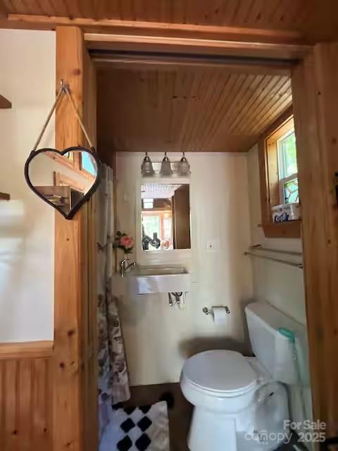 45 Tomahawk Drive Sapphire NC 28774