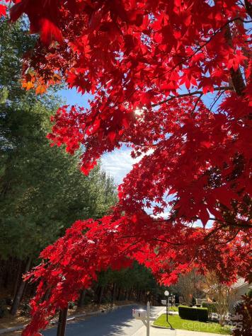 60 Park Avenue Street Asheville NC 28803