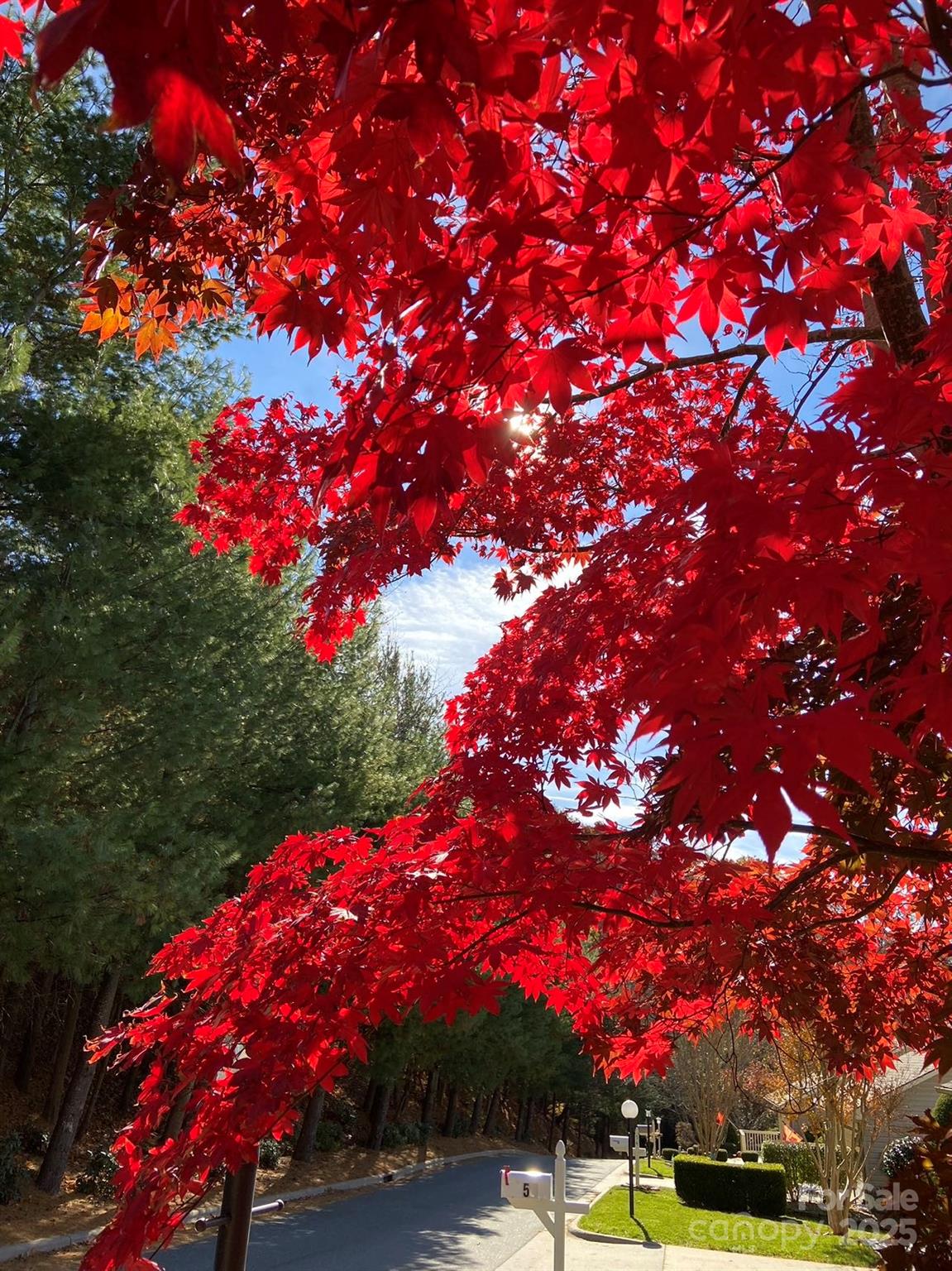 60 Park Avenue Street Asheville NC 28803