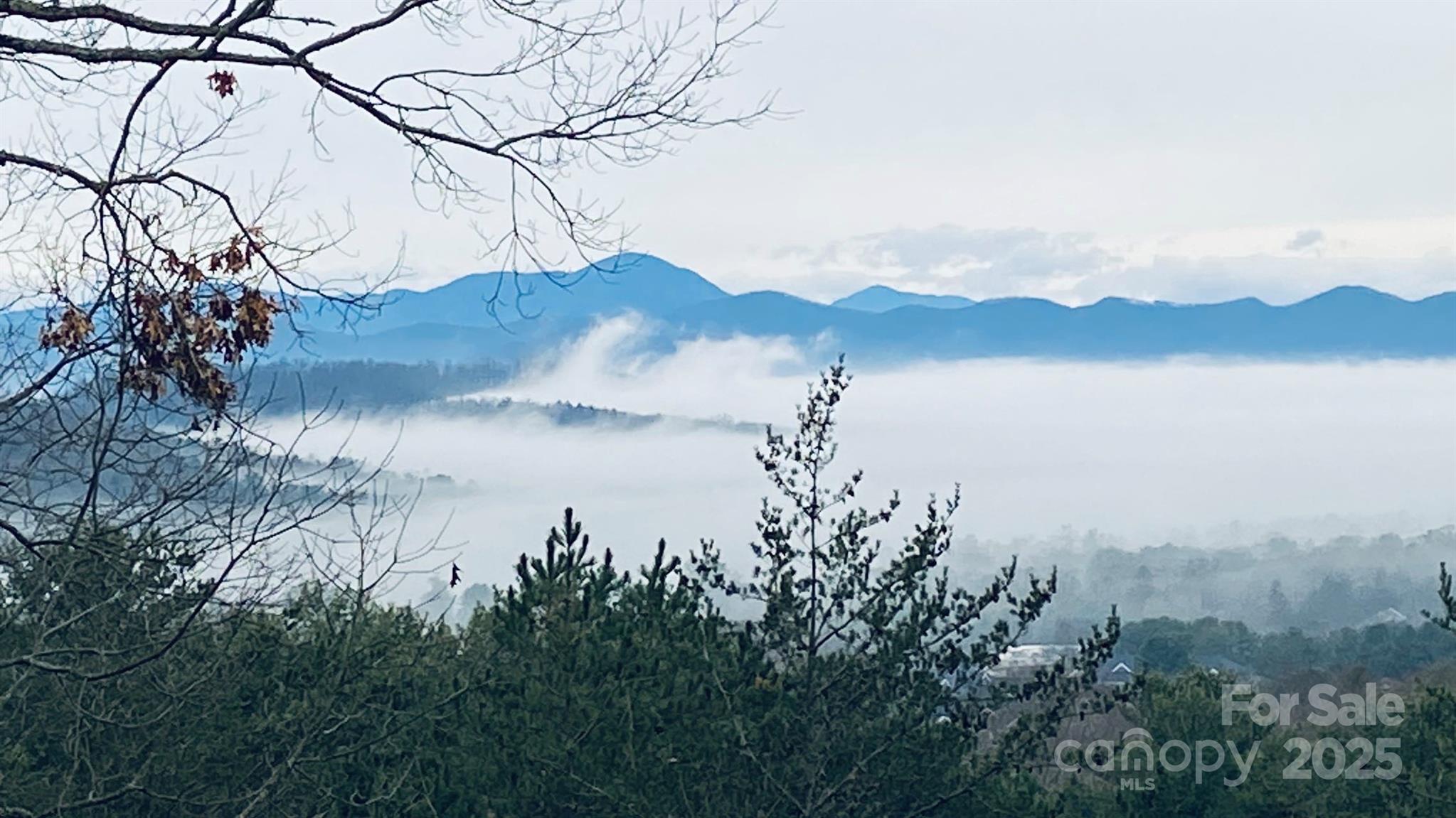 60 Park Avenue Street Asheville NC 28803