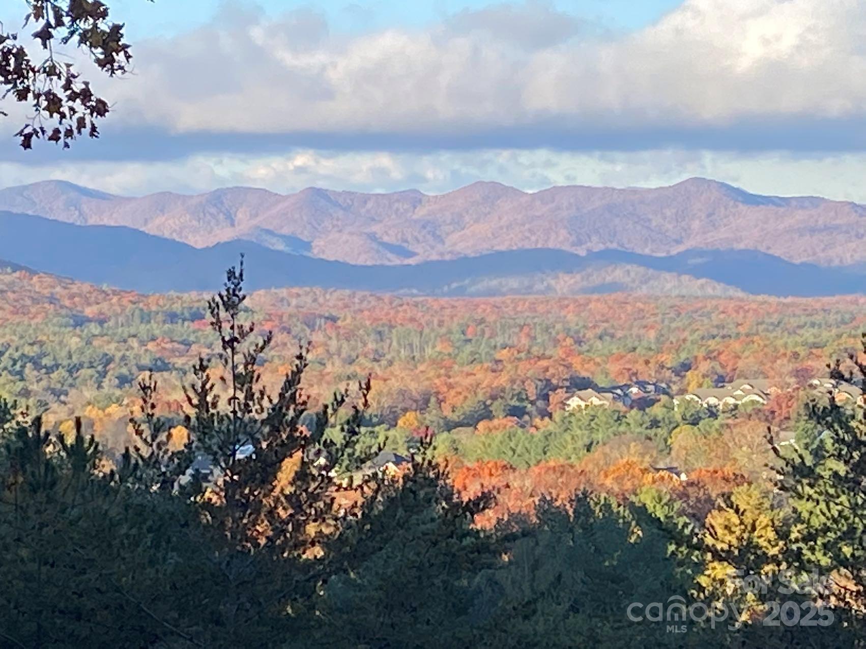 60 Park Avenue Street Asheville NC 28803