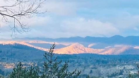 60 Park Avenue Street Asheville NC 28803