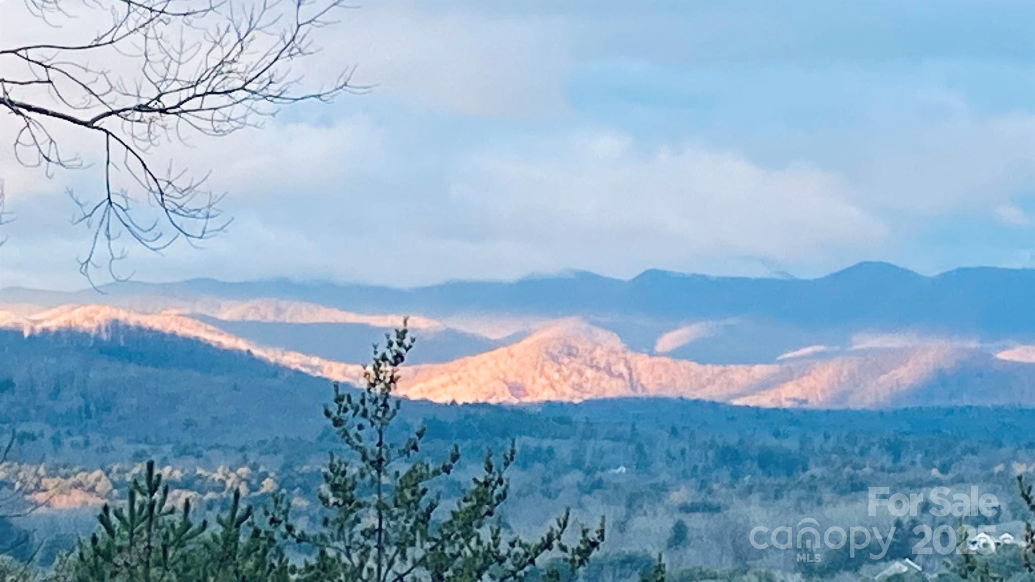 60 Park Avenue Street Asheville NC 28803