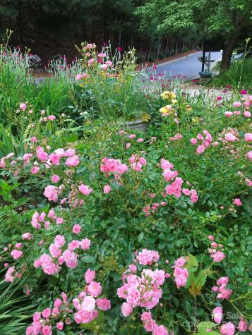 60 Park Avenue Street Asheville NC 28803