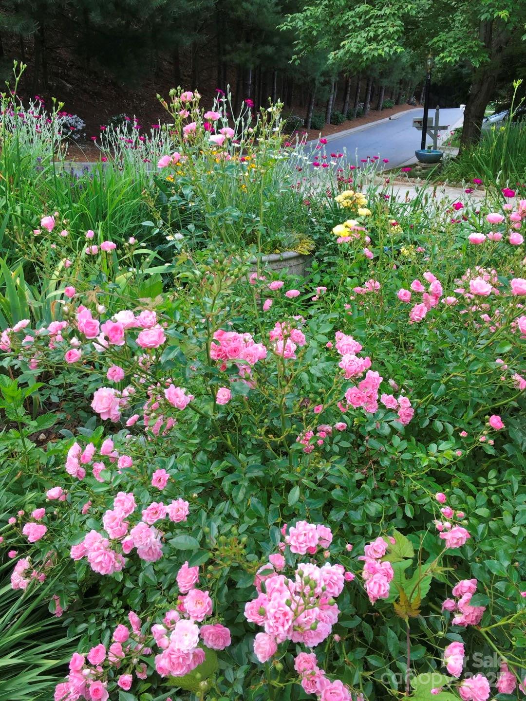 60 Park Avenue Street Asheville NC 28803