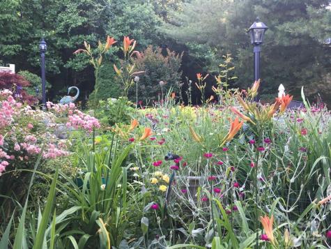 60 Park Avenue Street Asheville NC 28803