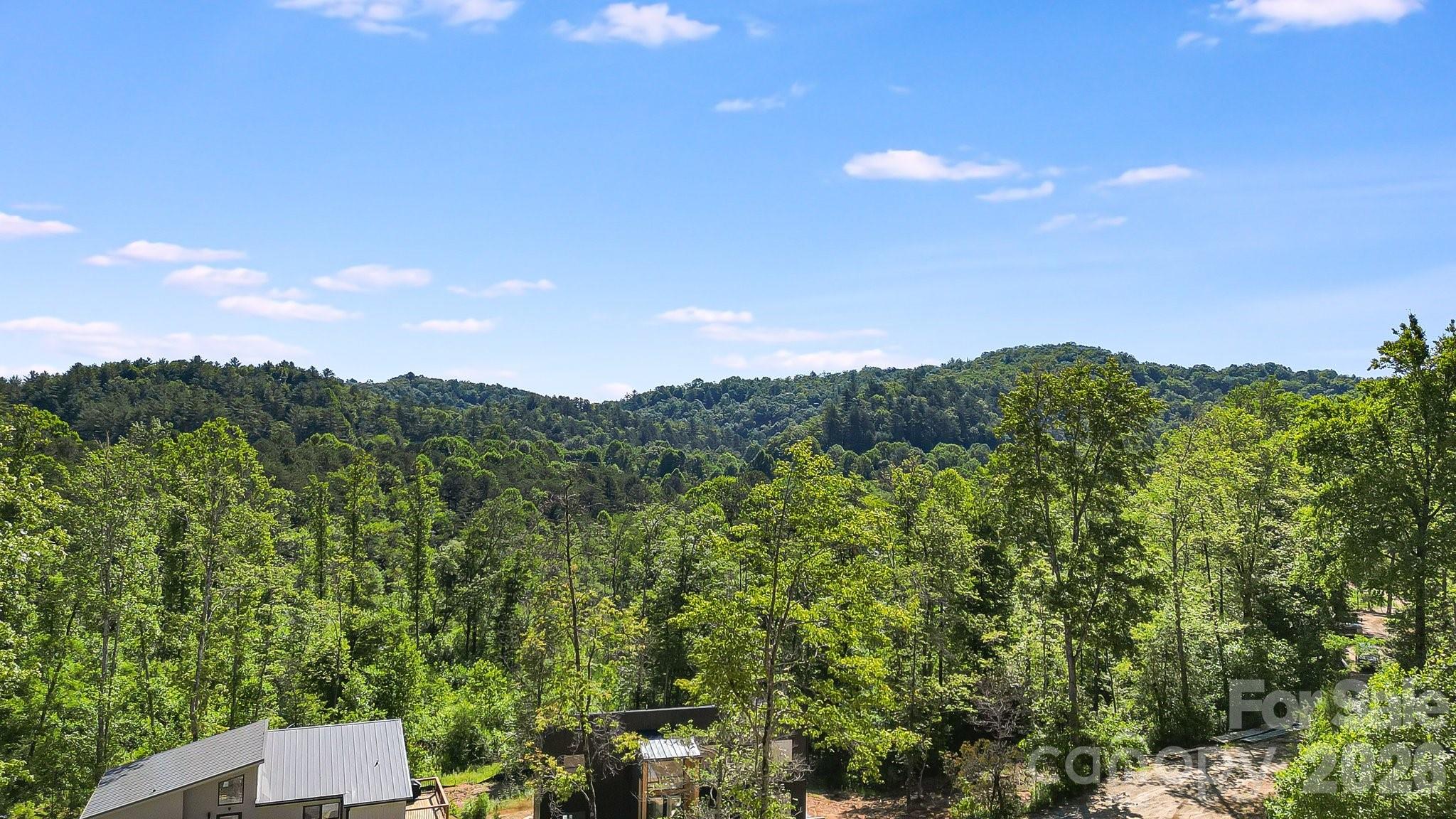 110 South Fork Trail Lake Toxaway NC 28747