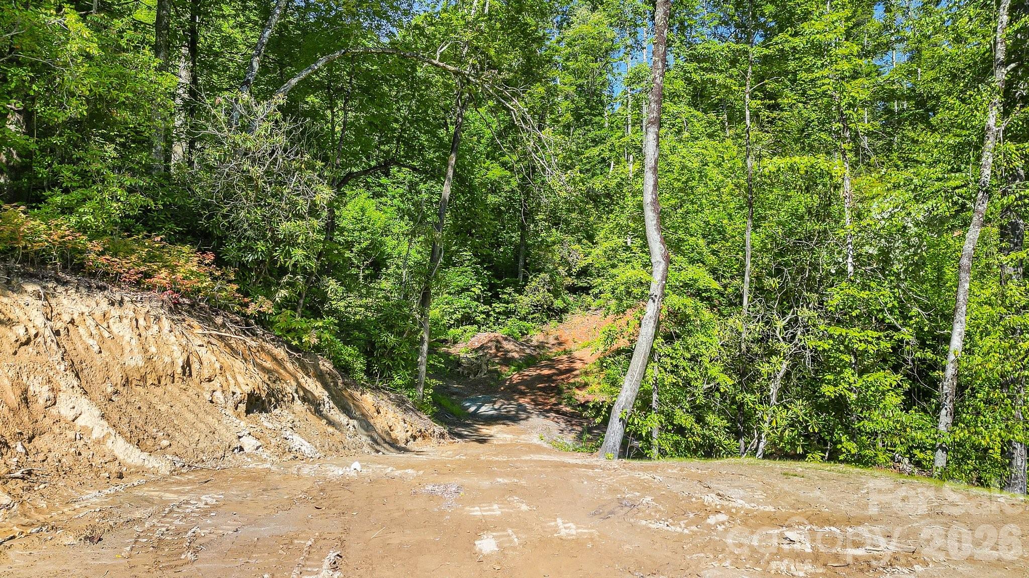 110 South Fork Trail Lake Toxaway NC 28747