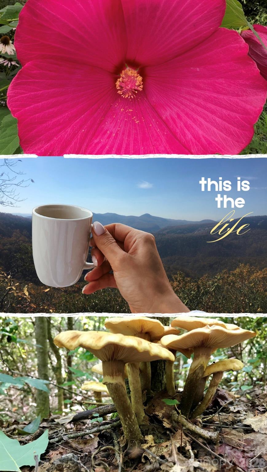 110 South Fork Trail Lake Toxaway NC 28747