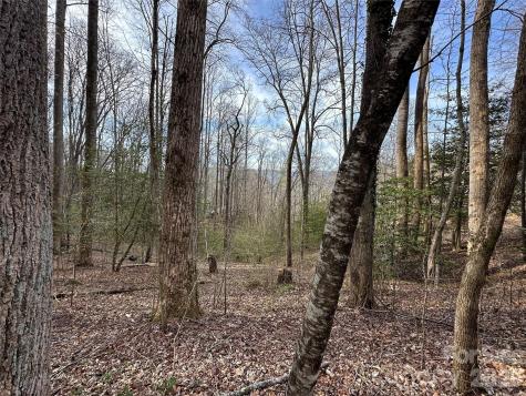 440 Holly Falls Lane Sylva NC 28779