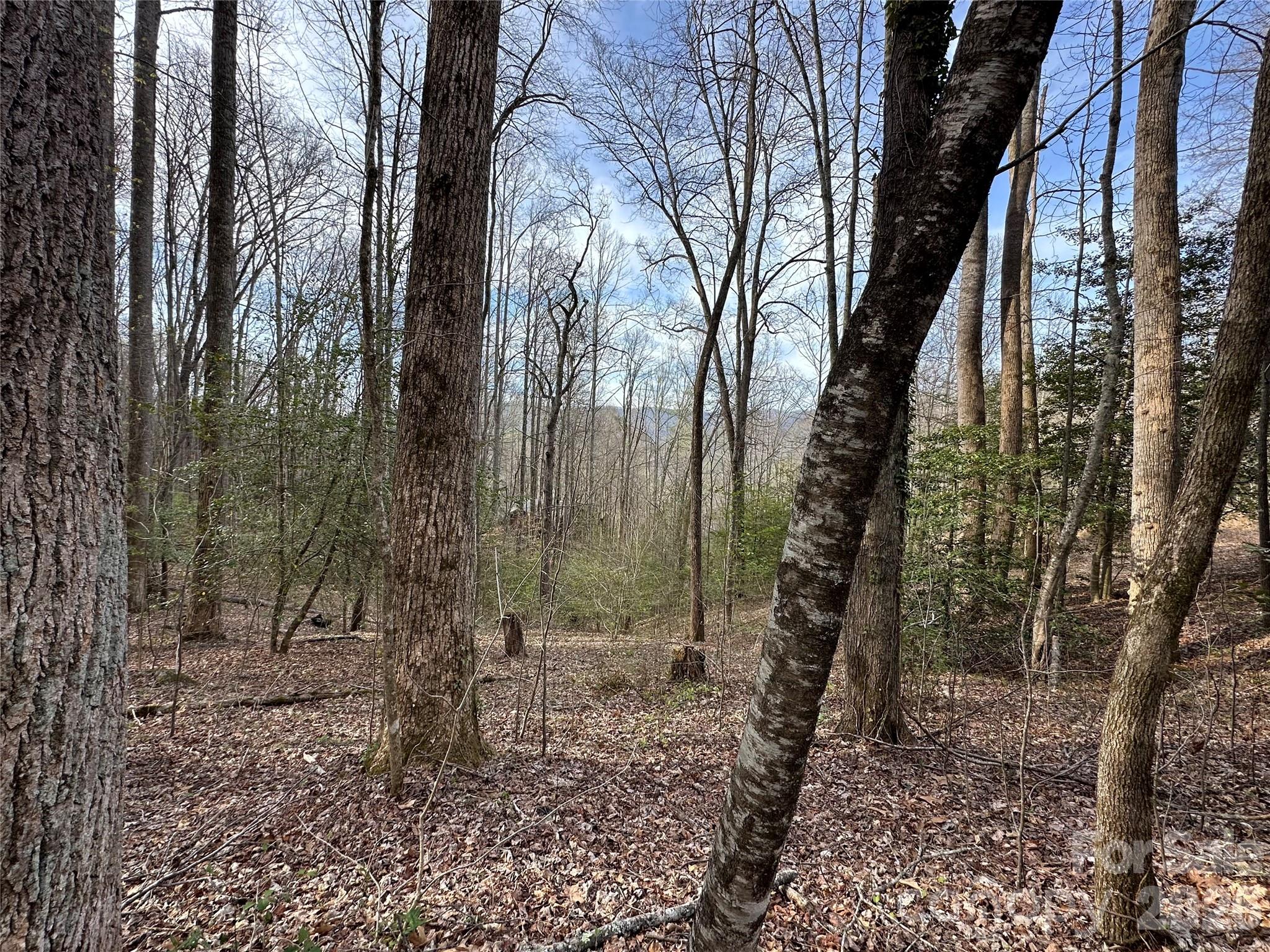 440 Holly Falls Lane Sylva NC 28779