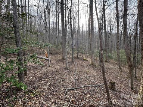 440 Holly Falls Lane Sylva NC 28779