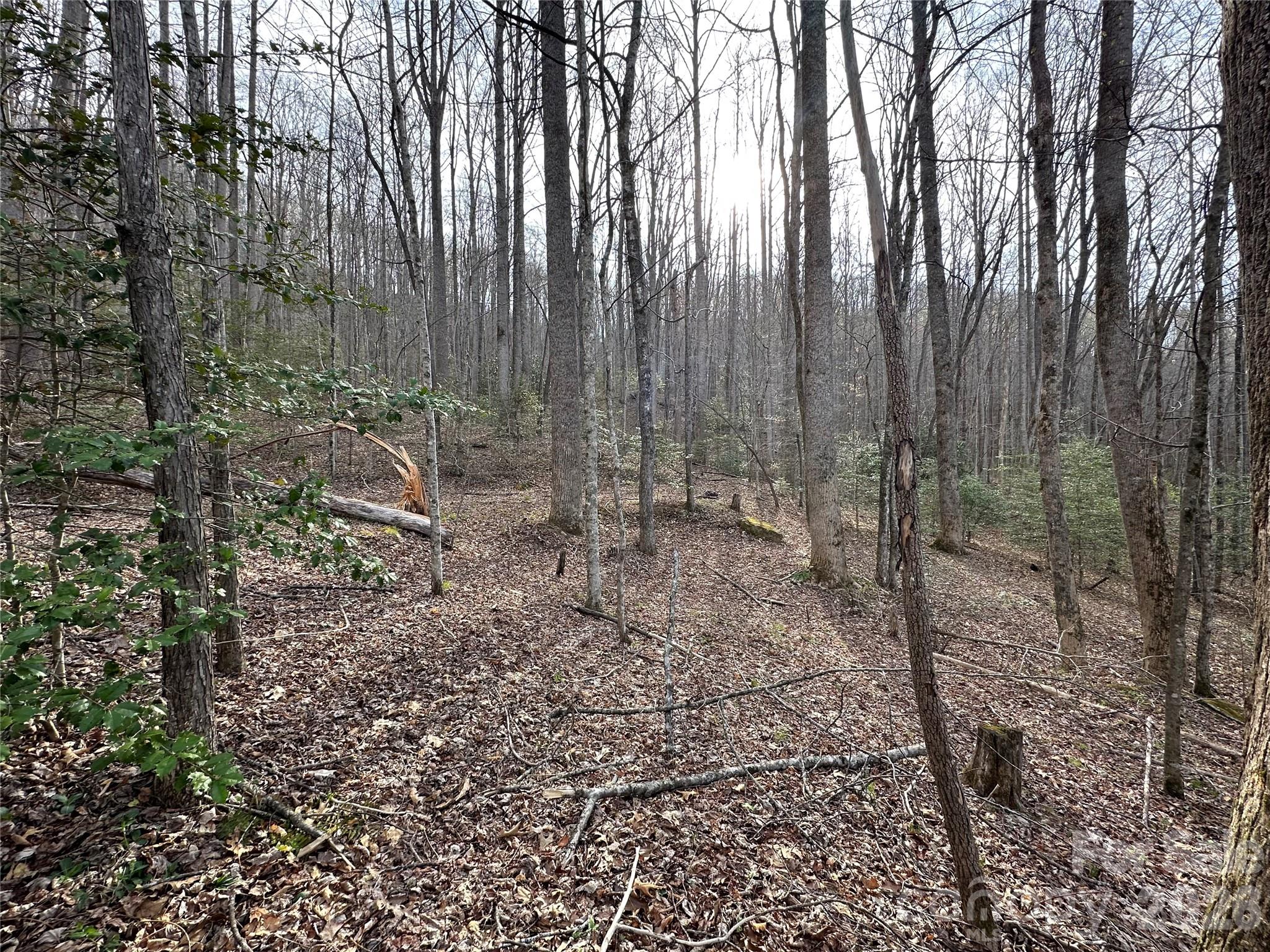 440 Holly Falls Lane Sylva NC 28779
