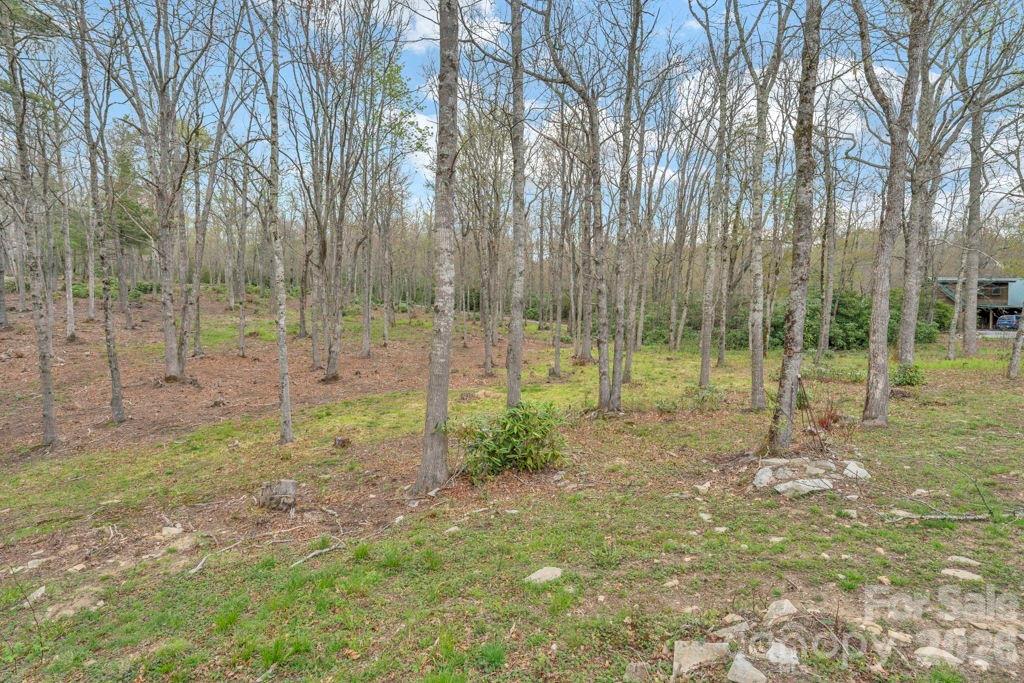 811 Linhigh Drive Newland NC 28657