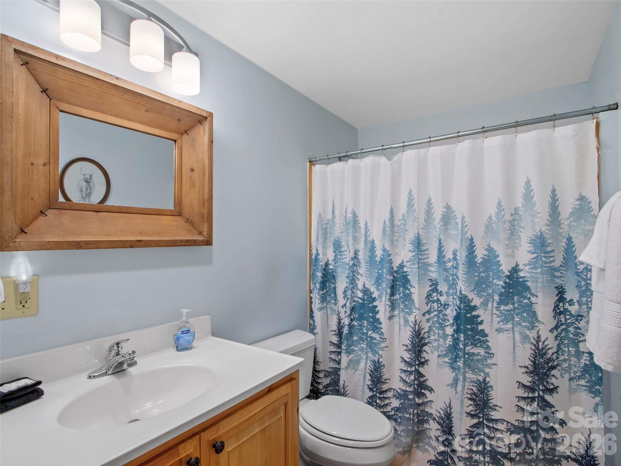 101 Jack Straw Lane Burnsville NC 28714