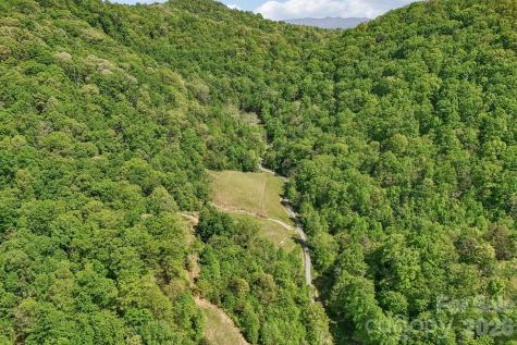 590 Willow Lane Marshall NC 28753