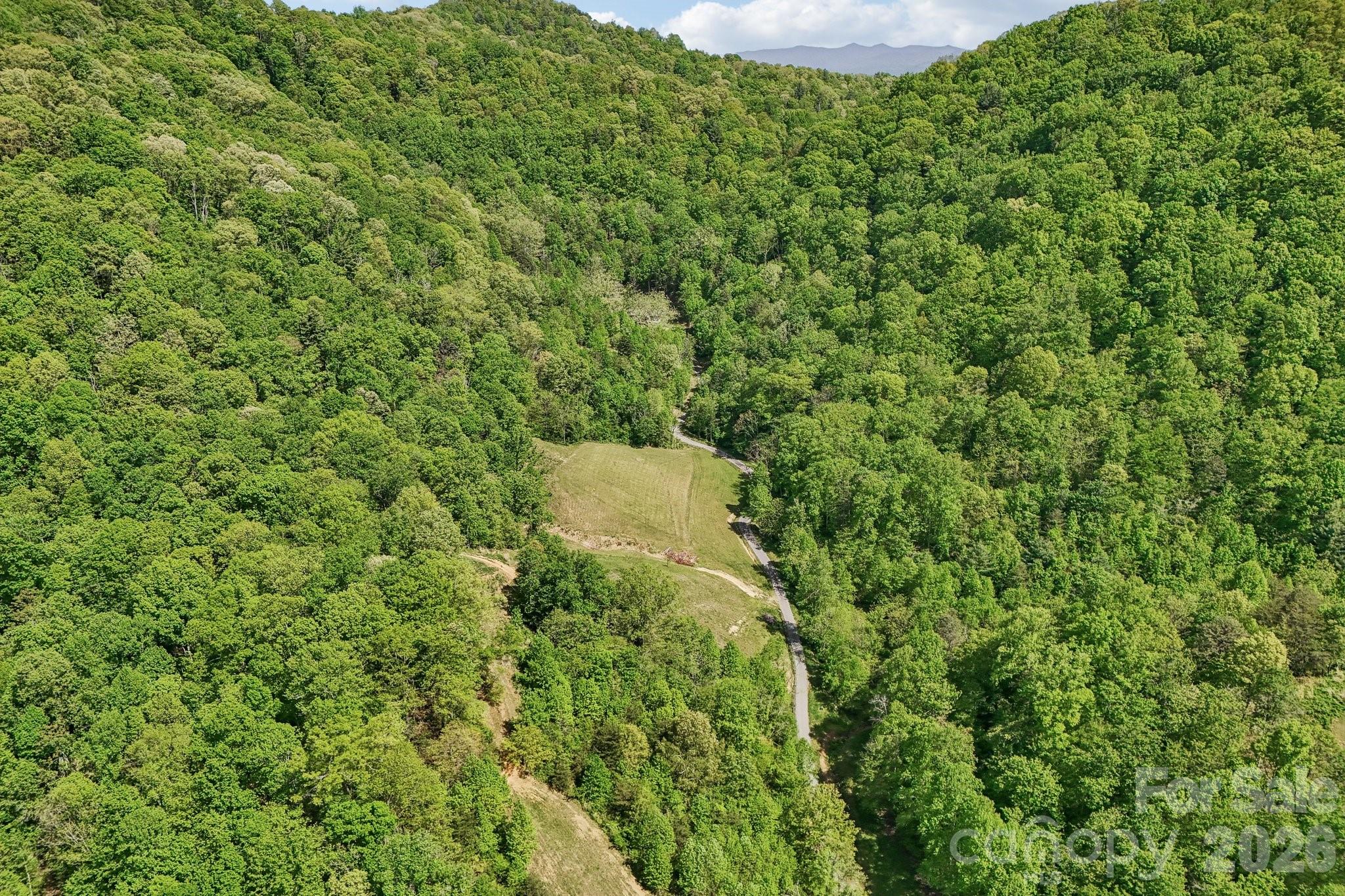 590 Willow Lane Marshall NC 28753