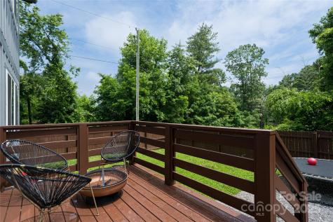 14 Alice Clement Lane Asheville NC 28803