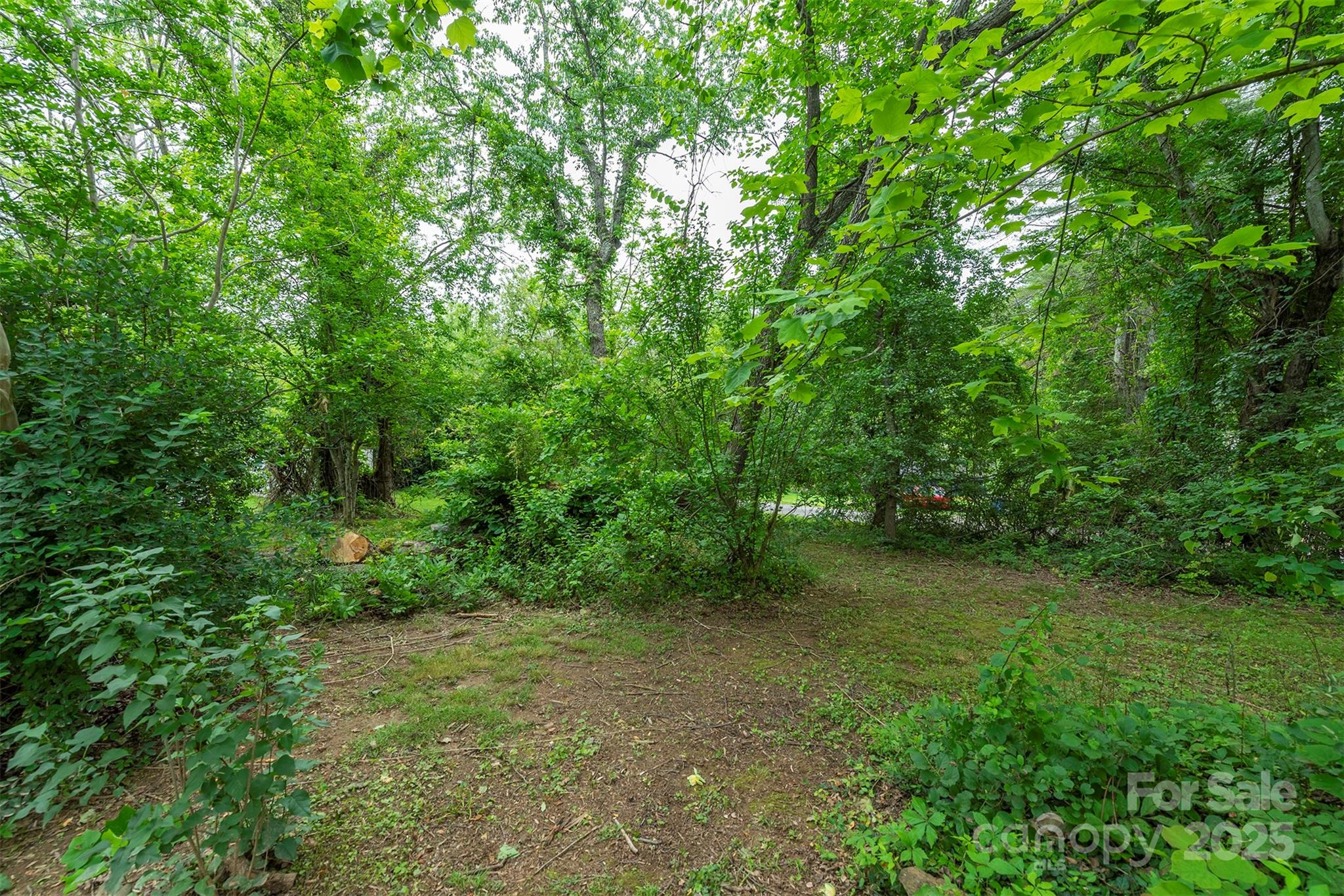 3 Audrey Lane Asheville NC 28806