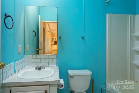 3 Audrey Lane Asheville NC 28806