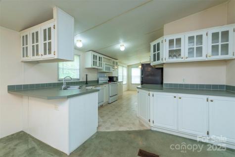 3 Audrey Lane Asheville NC 28806