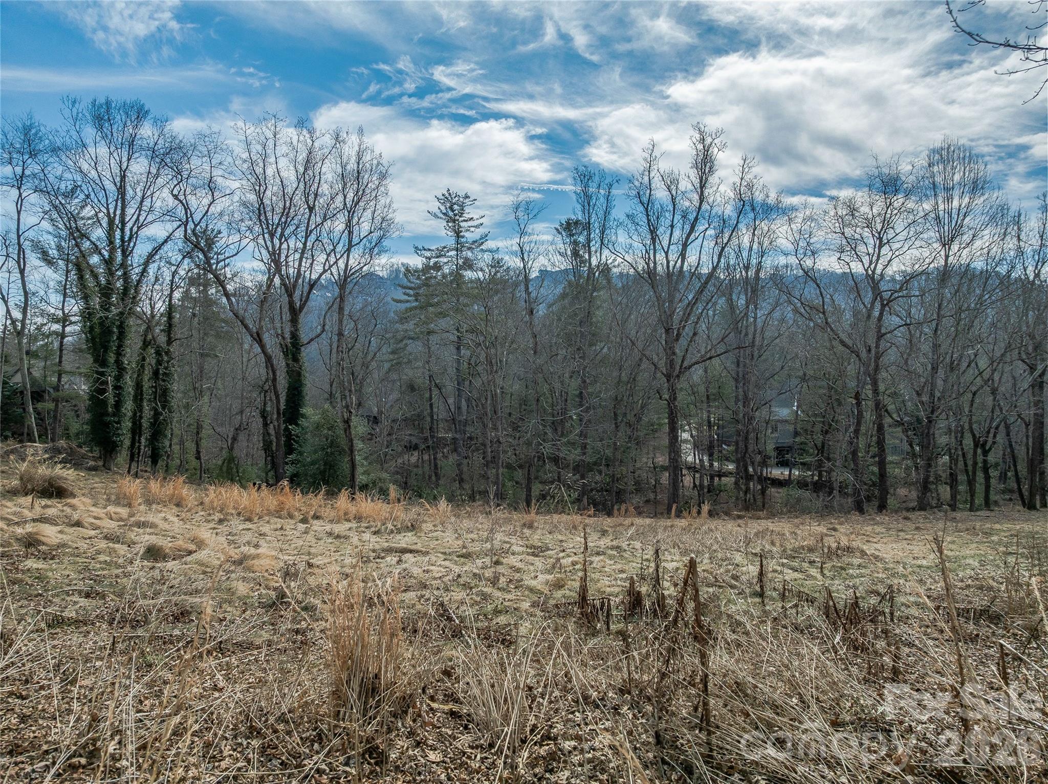 99999 Running Creek Trail Arden NC 28704