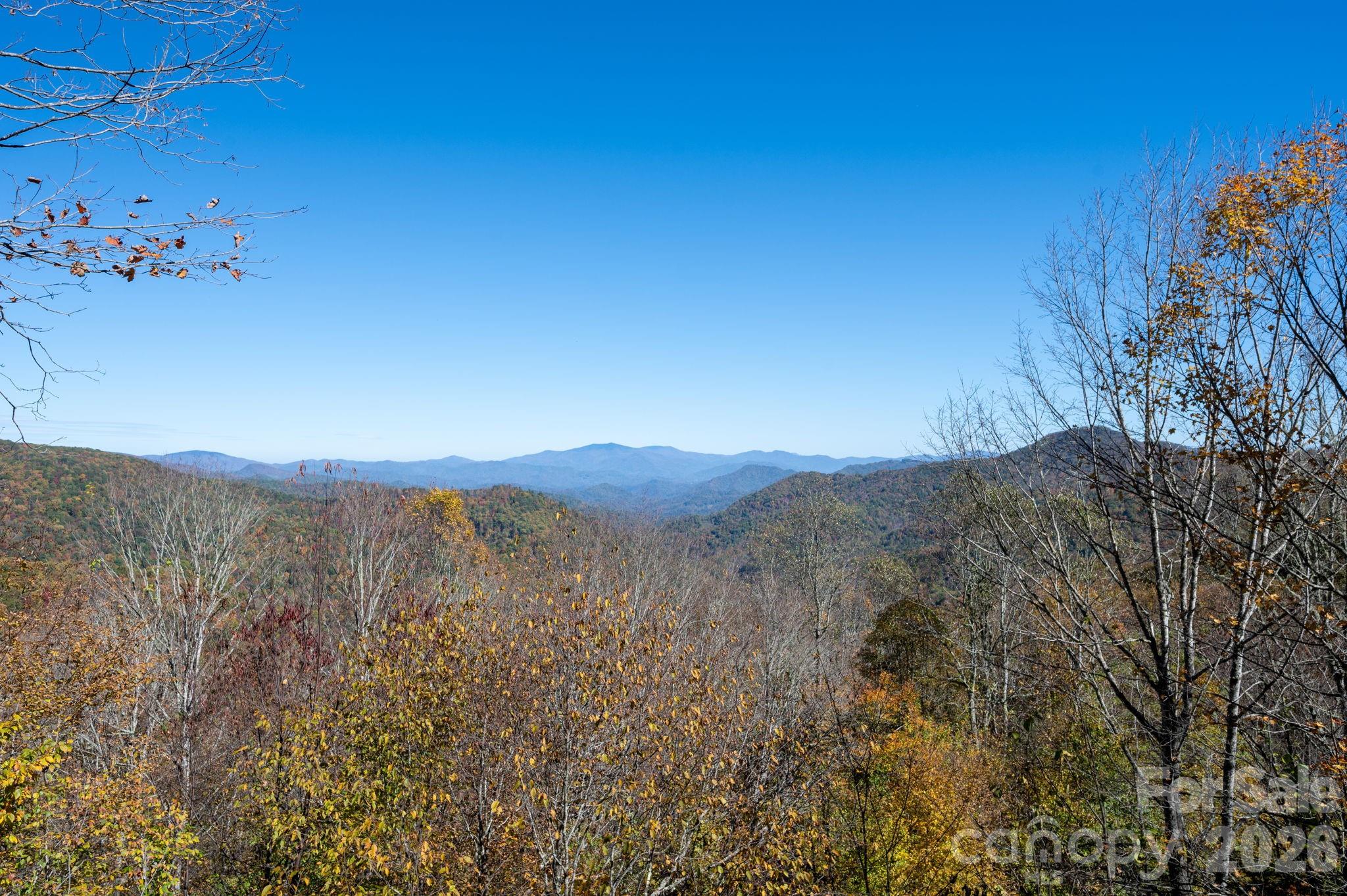 481 Overlook Drive Mars Hill NC 28754