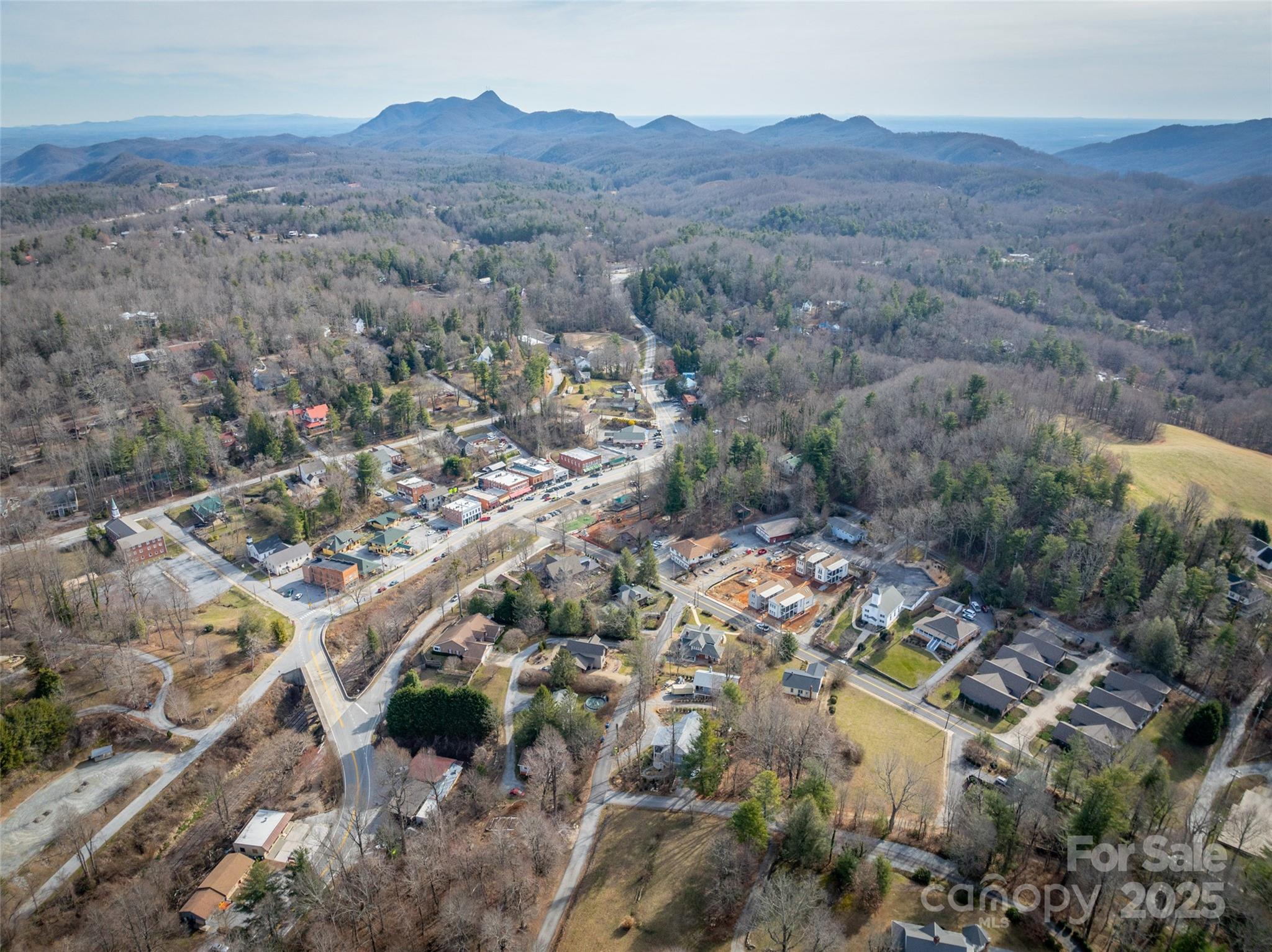 24 Skyvue Court Saluda NC 28773