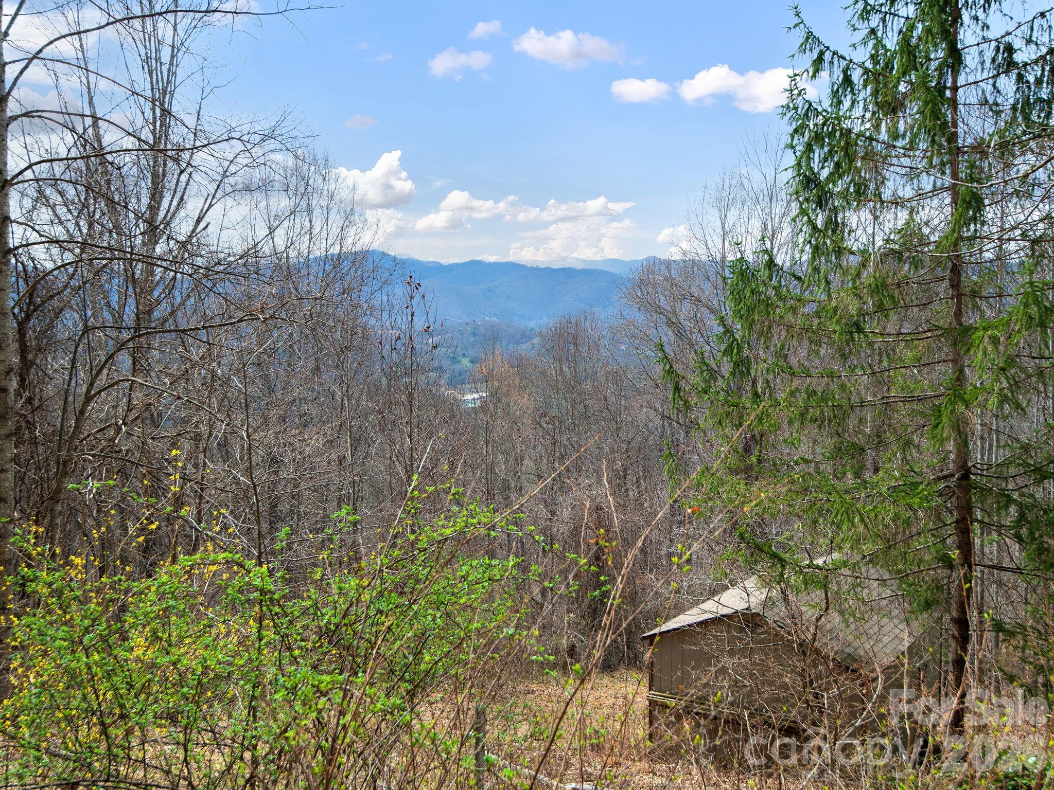 1160 High Rock Mountain Road Marshall NC 28753