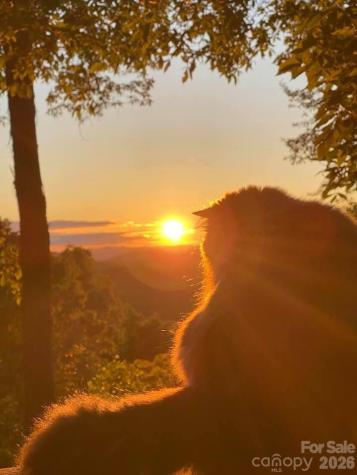 1160 High Rock Mountain Road Marshall NC 28753