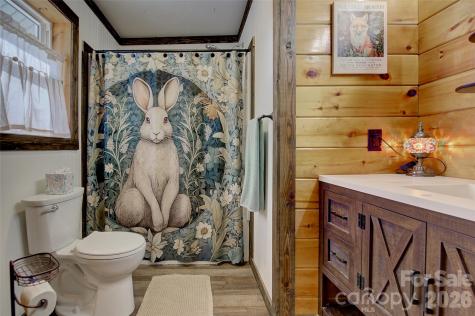 1029 Jacks Creek Road Burnsville NC 28714