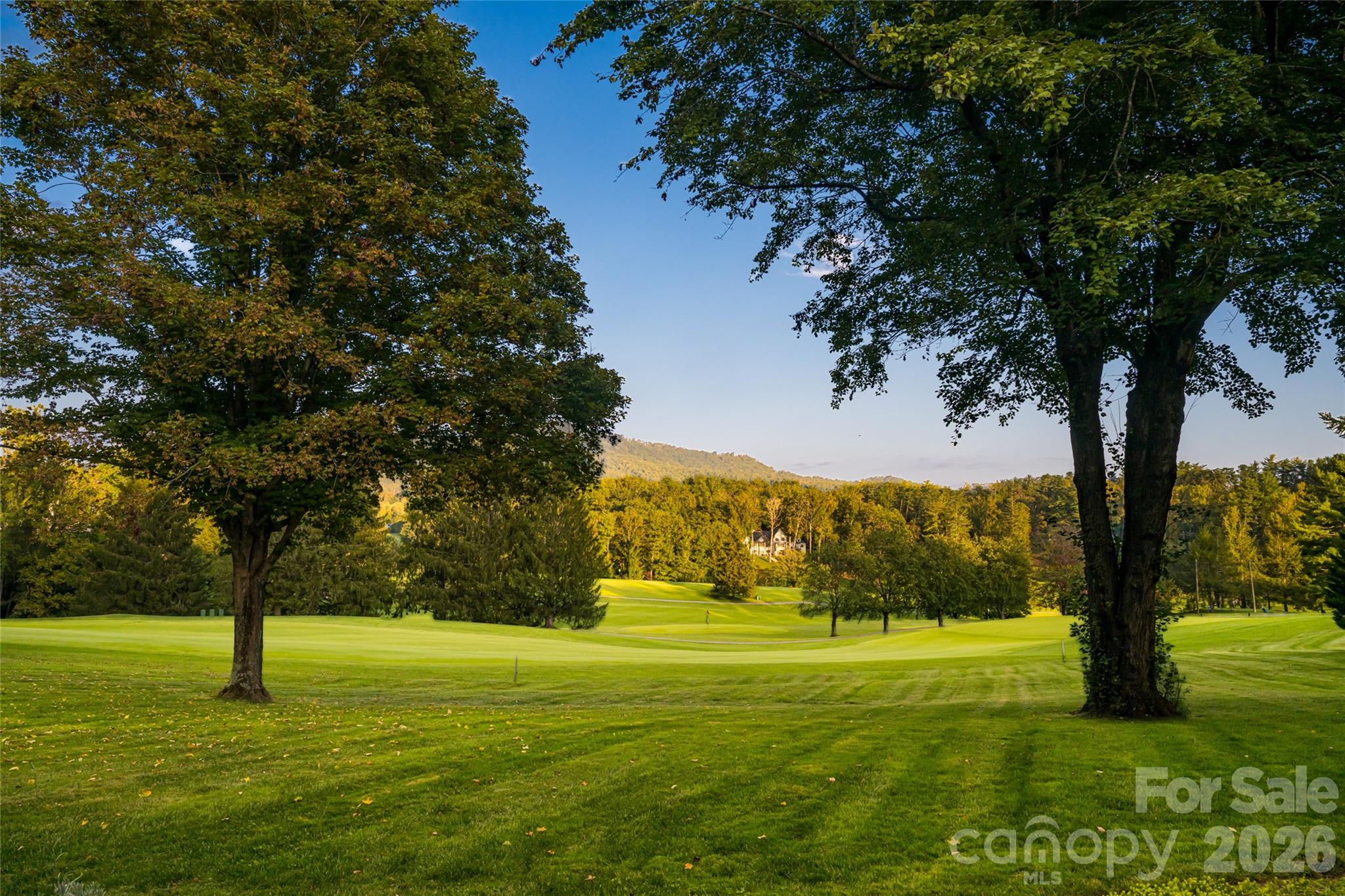 402 Vanderbilt Road Asheville NC 28803