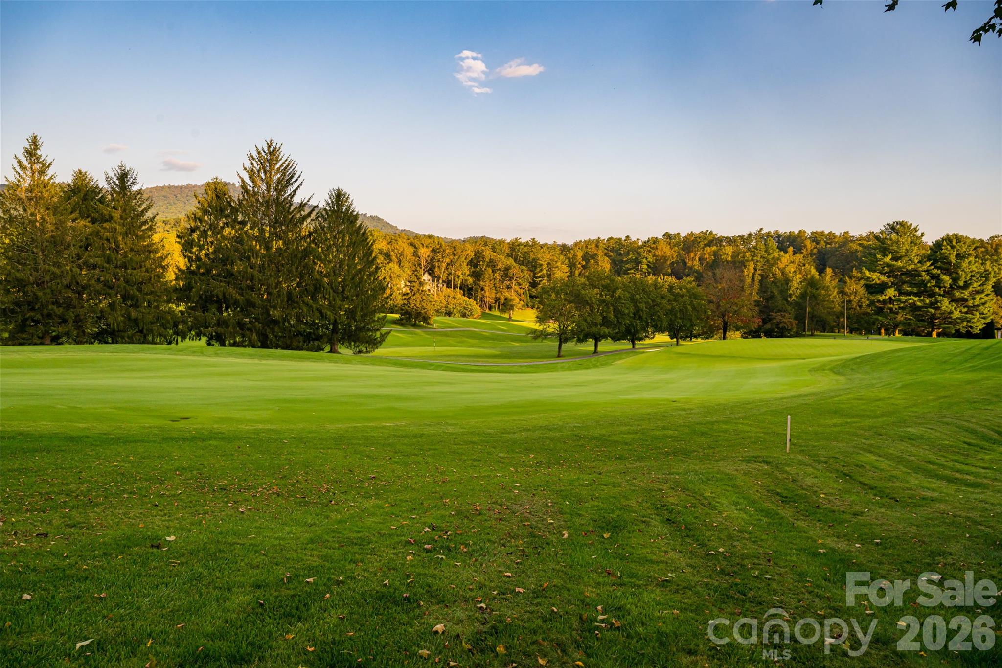 402 Vanderbilt Road Asheville NC 28803