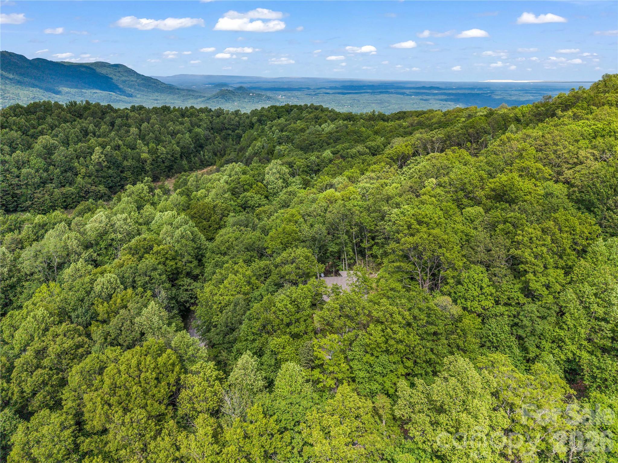 737 Melrose Mountain Road Tryon NC 28782