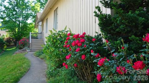109 Clubwood Court Asheville NC 28803