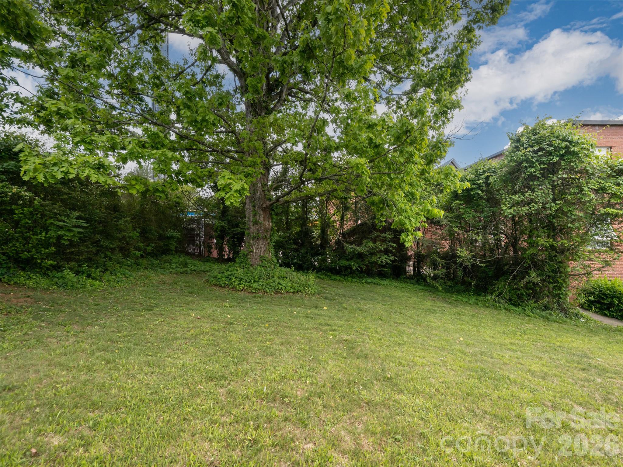 20 Baldwin Street Asheville NC 28803