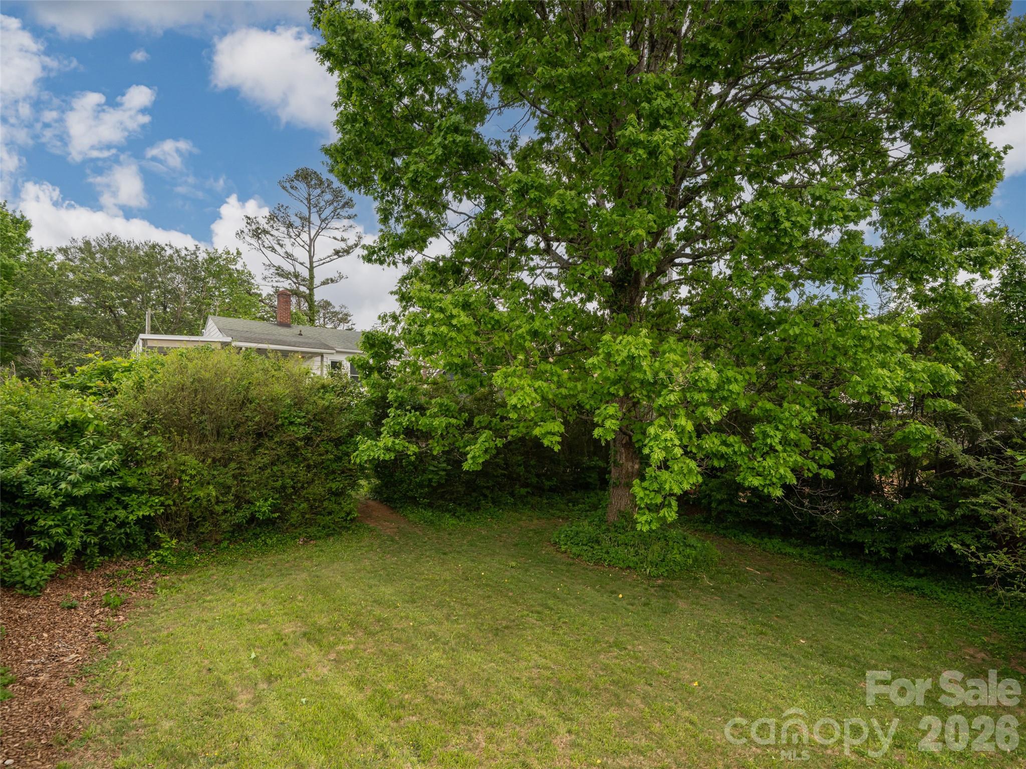 20 Baldwin Street Asheville NC 28803