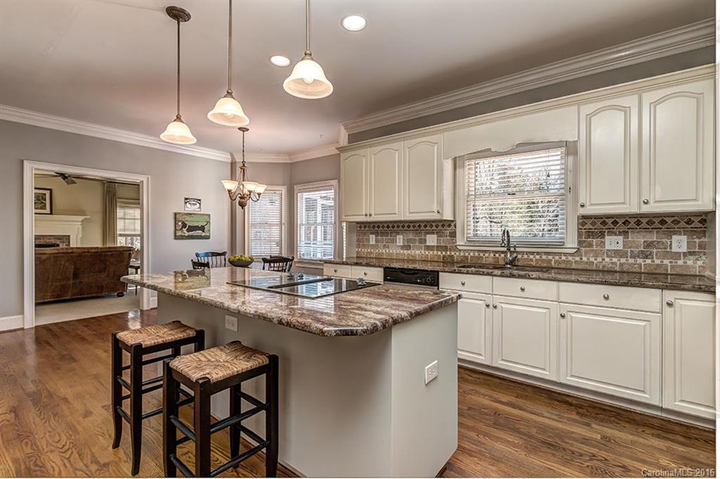 15633 Eagleview Drive Charlotte NC 28278