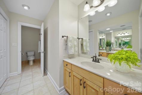 15 King Haigler Chase Street Lake Wylie SC 29710